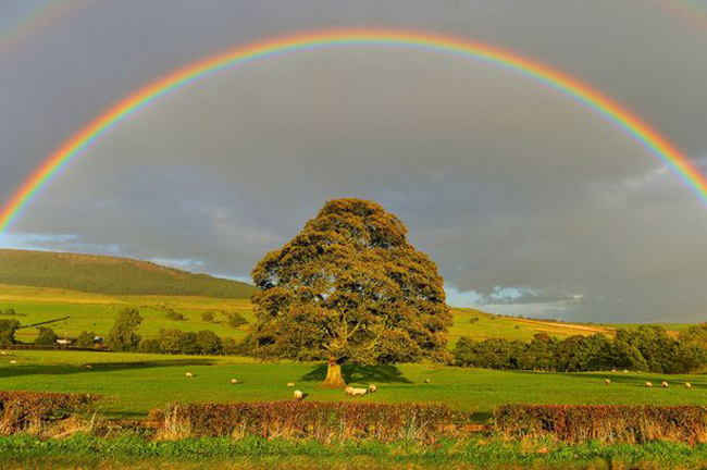 A rainbow over a hill.